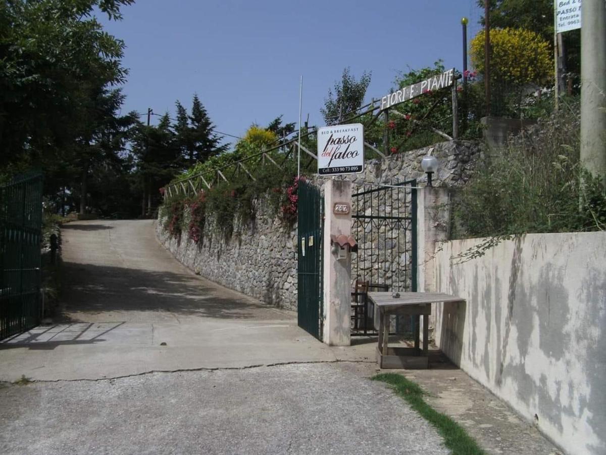 B&B Passo Del Falco Sorianello Exterior photo